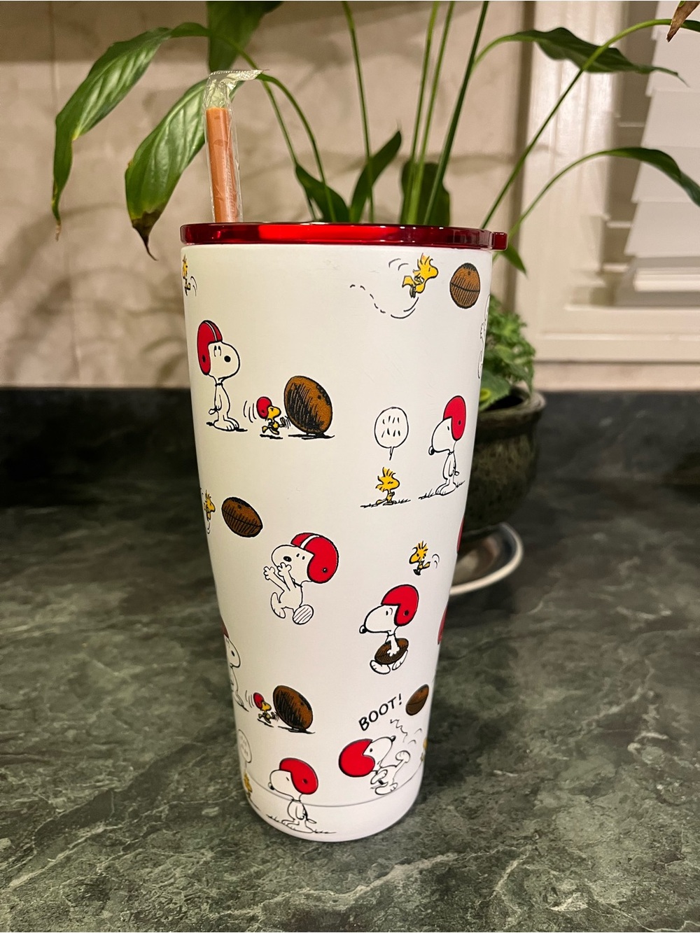 *NWT* Peanuts Snoopy Fall Football Stainless Steel Tumbler 30 oz
